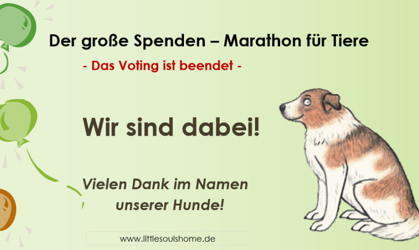 Wir sind beim Spenden – Marathon für Tiere von VETO dabei