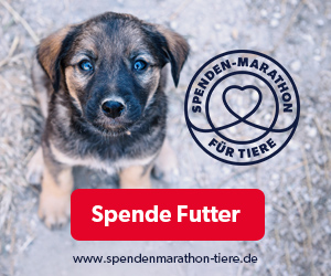 Der große Spenden – Marathon für Tiere ist gestartet