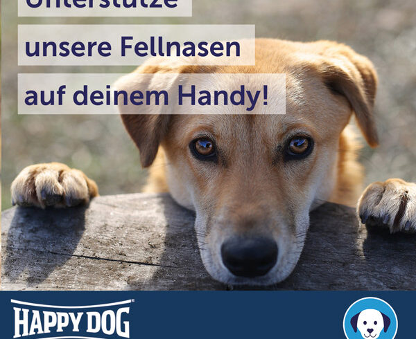 Am Ostermontag erhöht Happy Dog jede Futterspende um 50 %